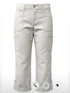 Democracy Carpenter Utility Pants AD Technology